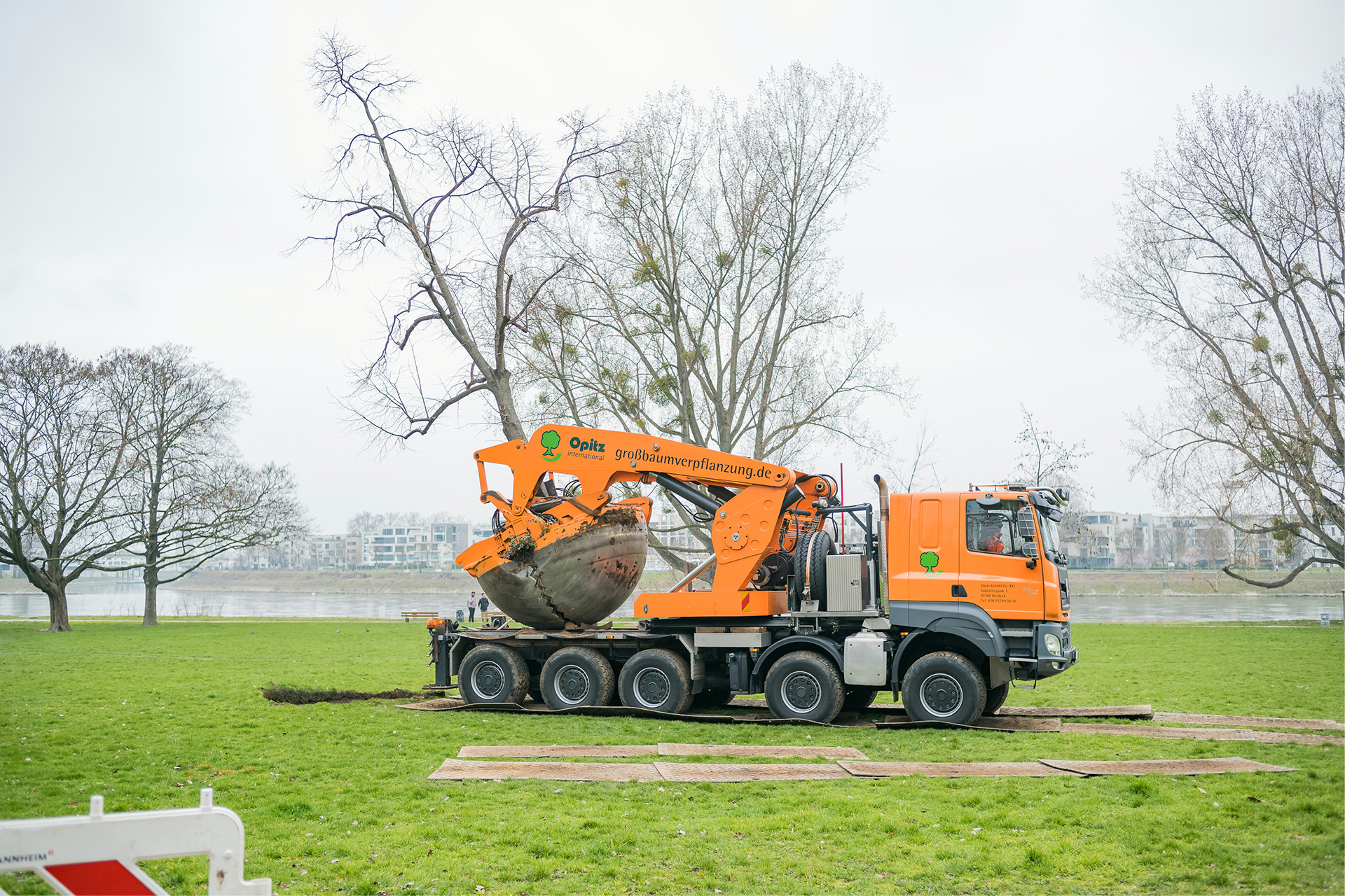Ein orange-farbener LKW mit Baumspaten, der auf einer Wiese einen kompletten Baum samt Wurzelballen aufgenenommen hat.