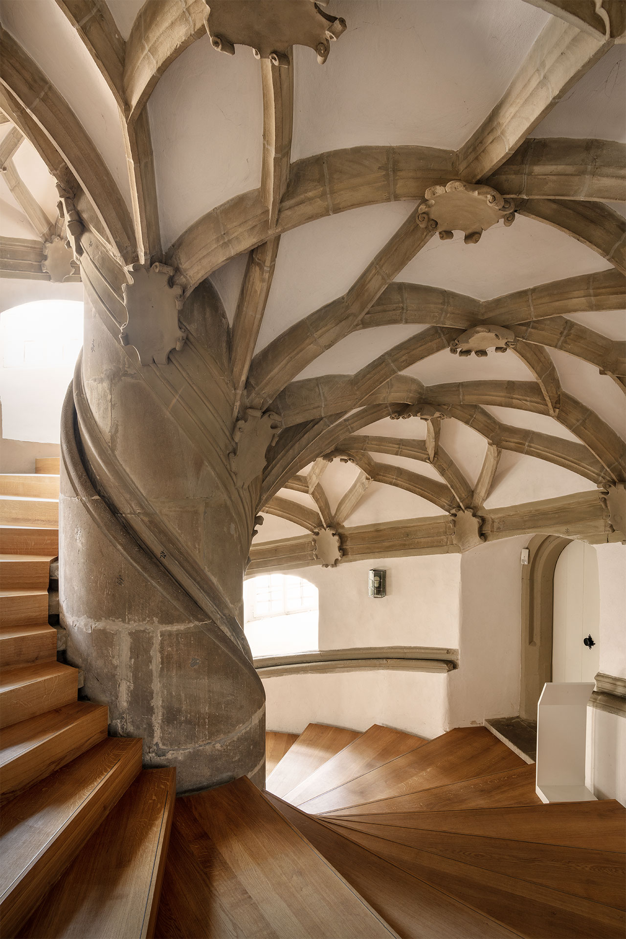Seitenansicht einer breiten, sanft ansteigenden Treppe mit niedrigen, holzverkleideten Stufen und verzierter Decke.