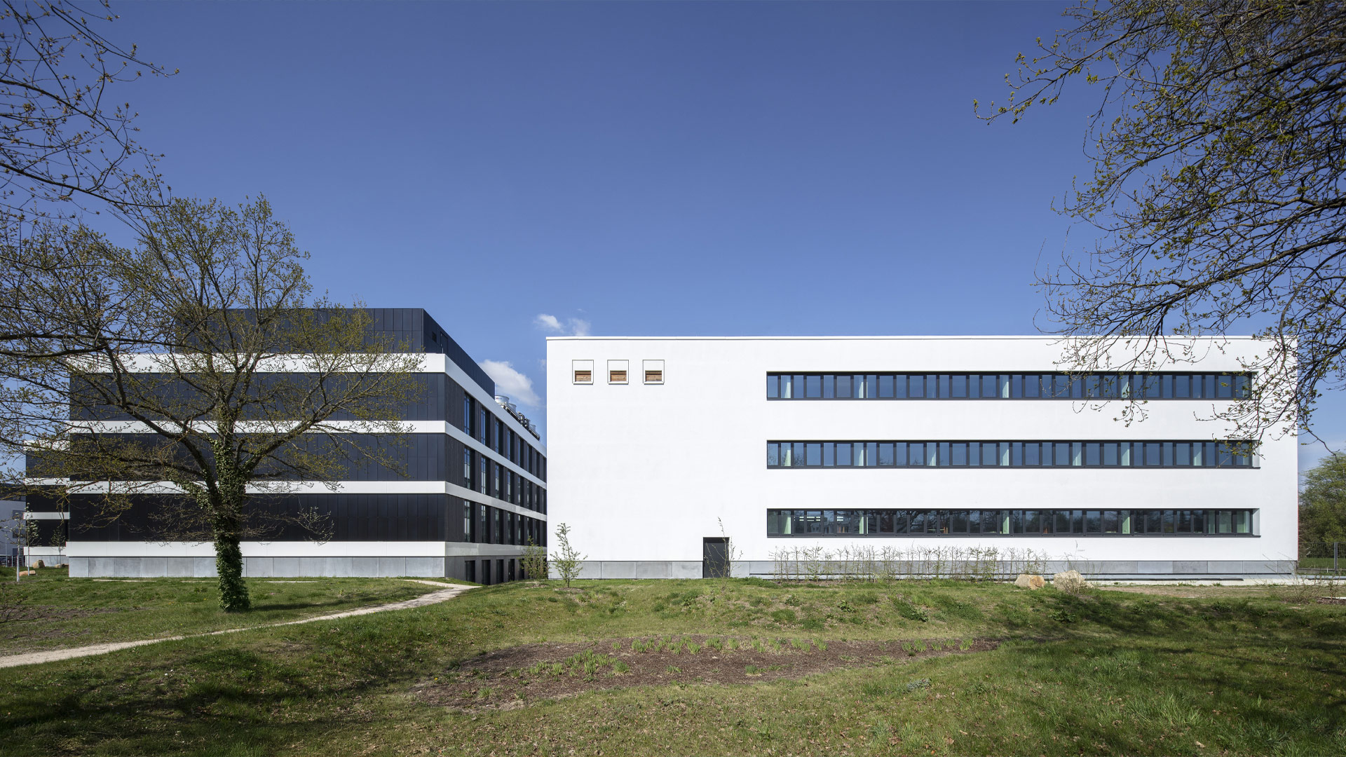 Im Vordergrund Grünflächen, im Hintergrund zwei Gebäudeteile des LUBW Standorts mit klarer Linienführung. 