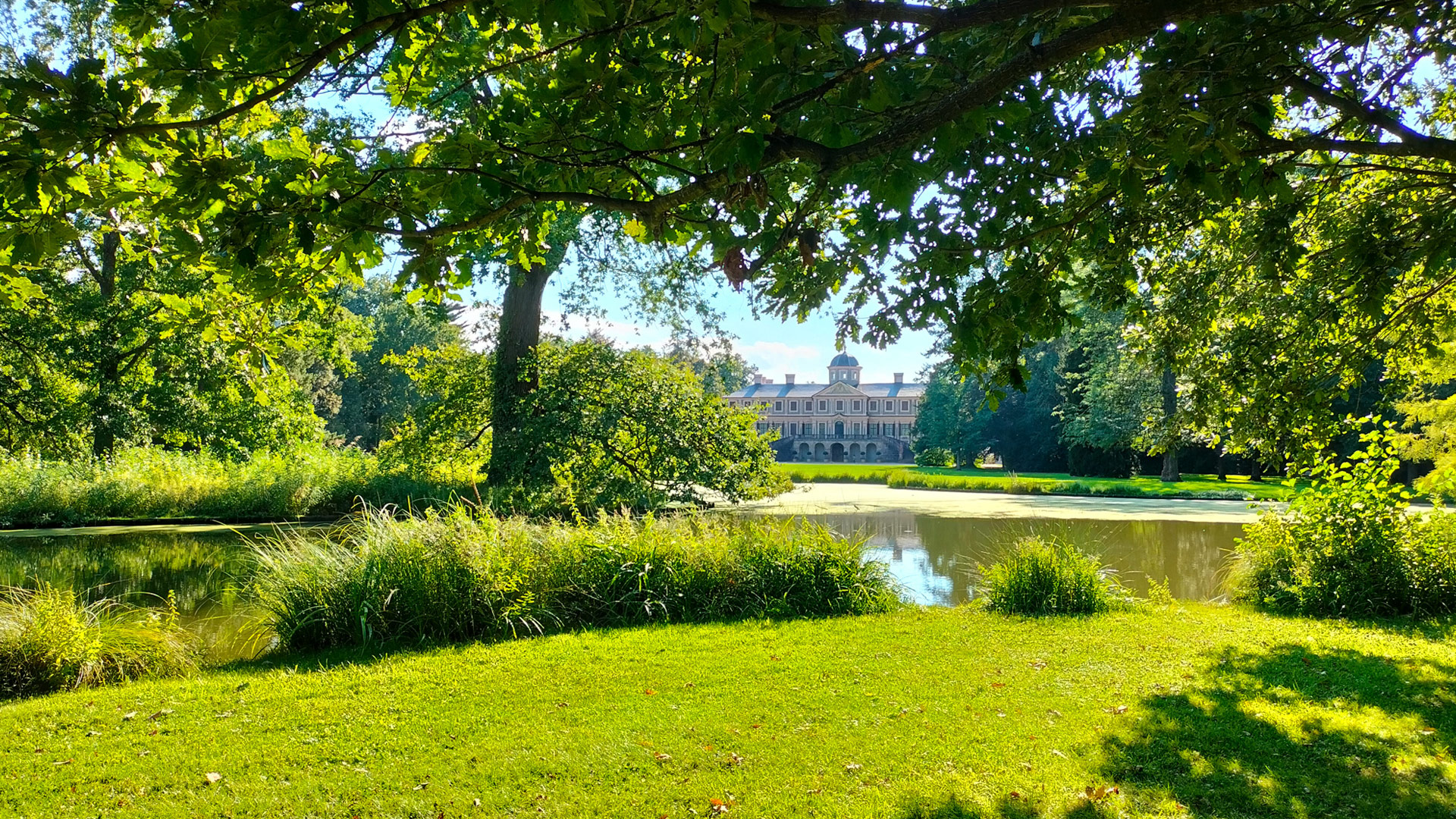 Im Vordergrund viel Grün um ein Gewässer, im Hintergrund das Schloss Favorite.