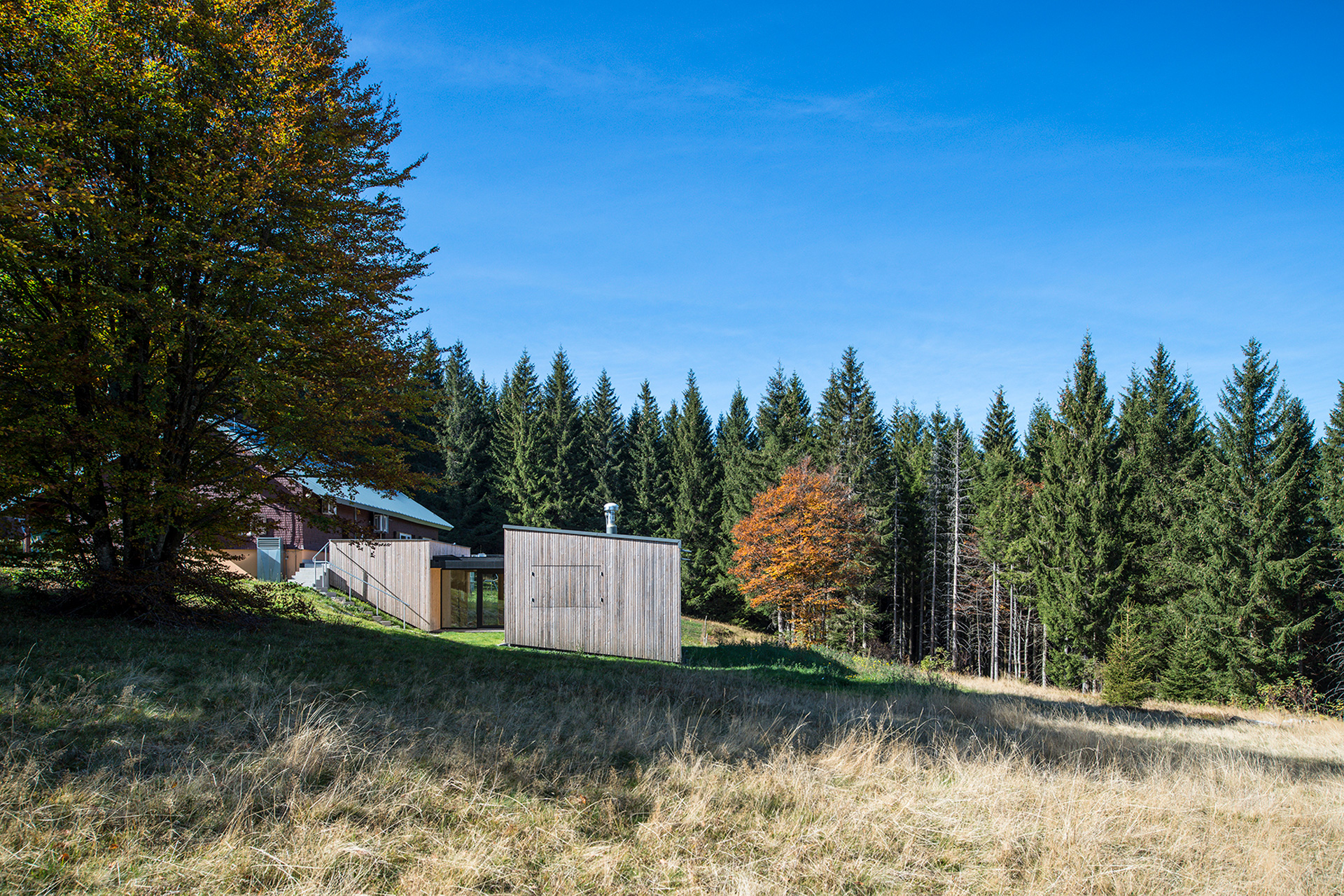 Ein Haus im Wald, es liegt am Hang. Der Anbau ist etwas tiefer und hat modern anmutende Holzwände.