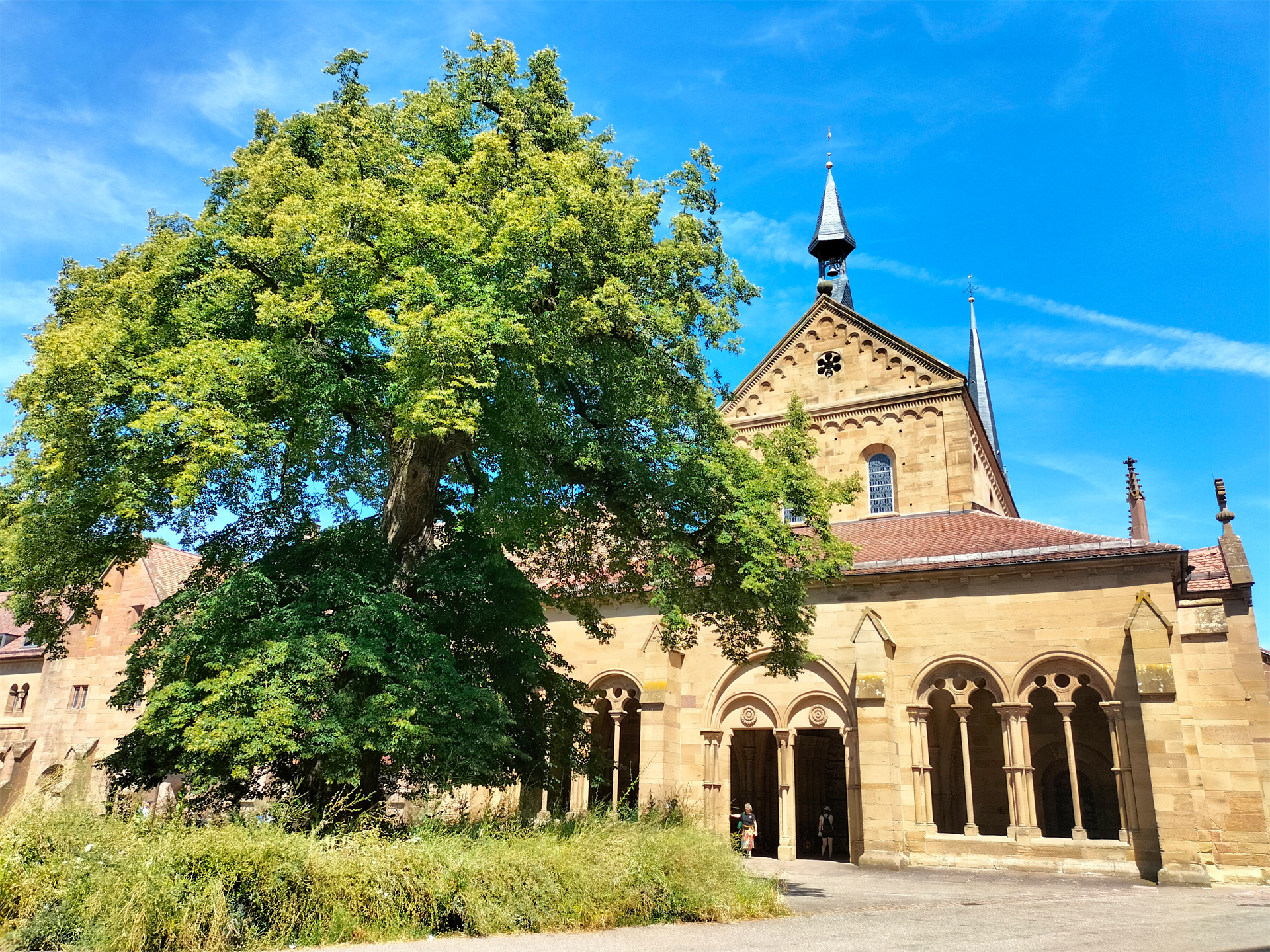 Im Hintergrund ein historisches Gebäude aus Sandstein, im Vordergrund ein alter, ausladender Baum.