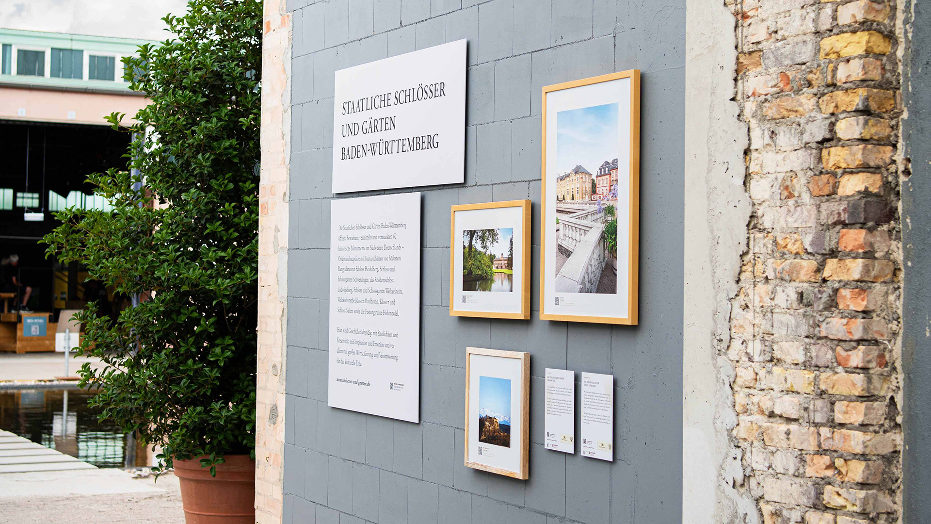 Eine graue Wand mit Bildern und Erklärtafeln, links eine Grünpflanze, rechts offenes Mauerwerk.
