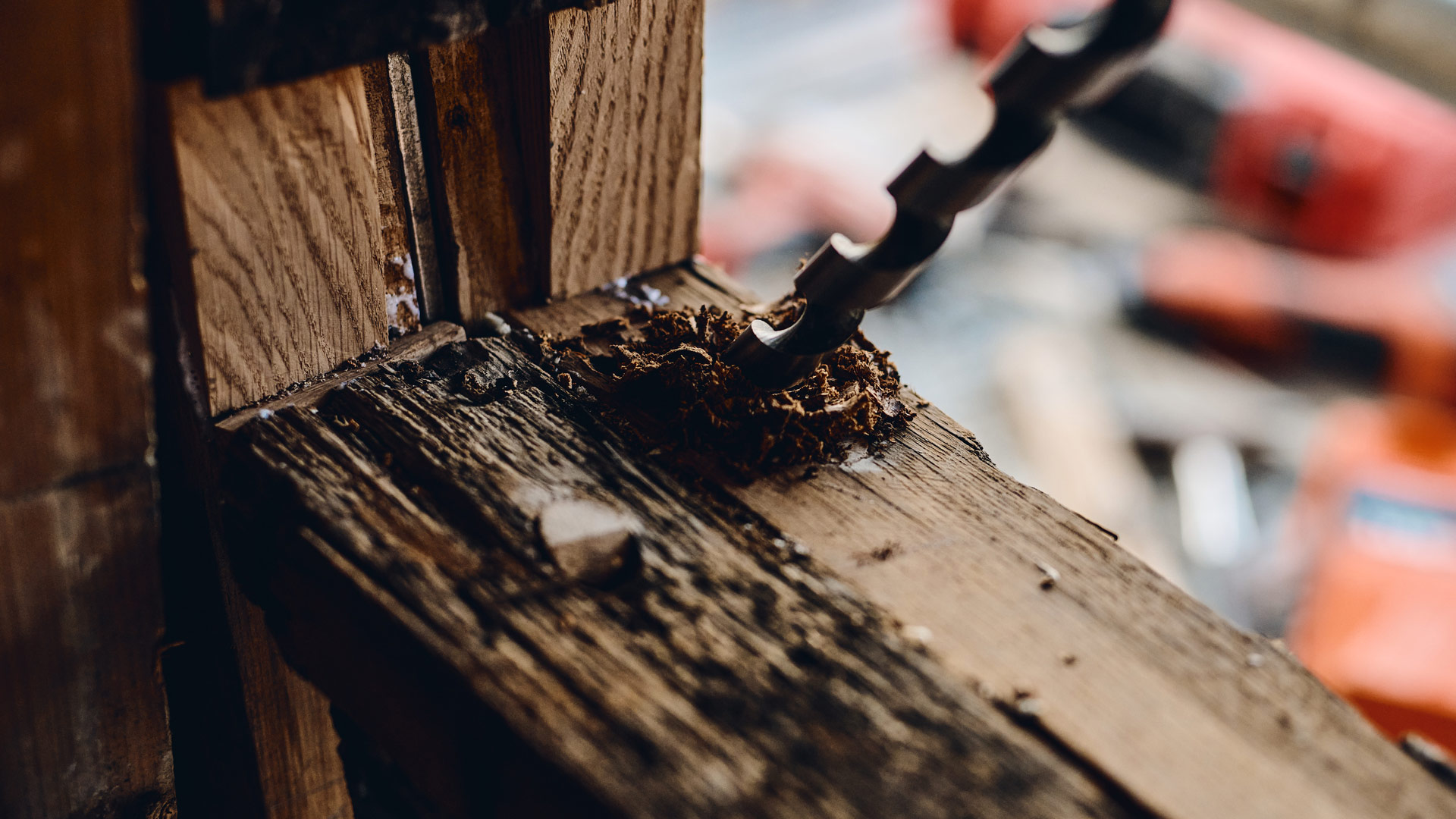 Vergrößerte Aufnahme: ein Bohrer bohrt in Holz. An der Bohrstelle sind Holzspäne zu sehen.